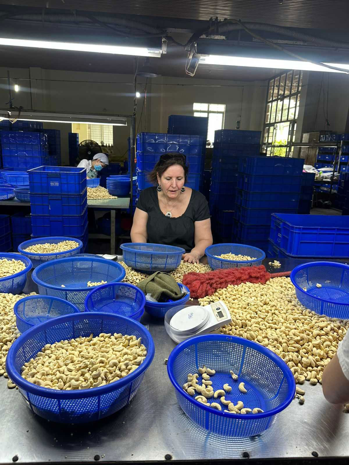 exportateur-noix-de-cajou